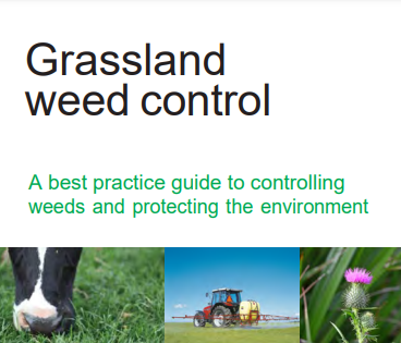 Grassland Weed Control Image